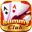 rummy lot icon