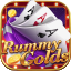 rummy card